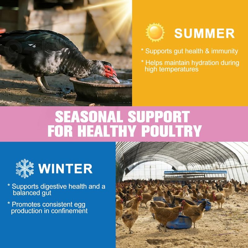 Chicken Probiotic Vitamin Supplement Immune Support Production, Digestive Aid and Hydration Support, Poultry Supplement Chickens and Ducks and All Ages of Birds(150g)