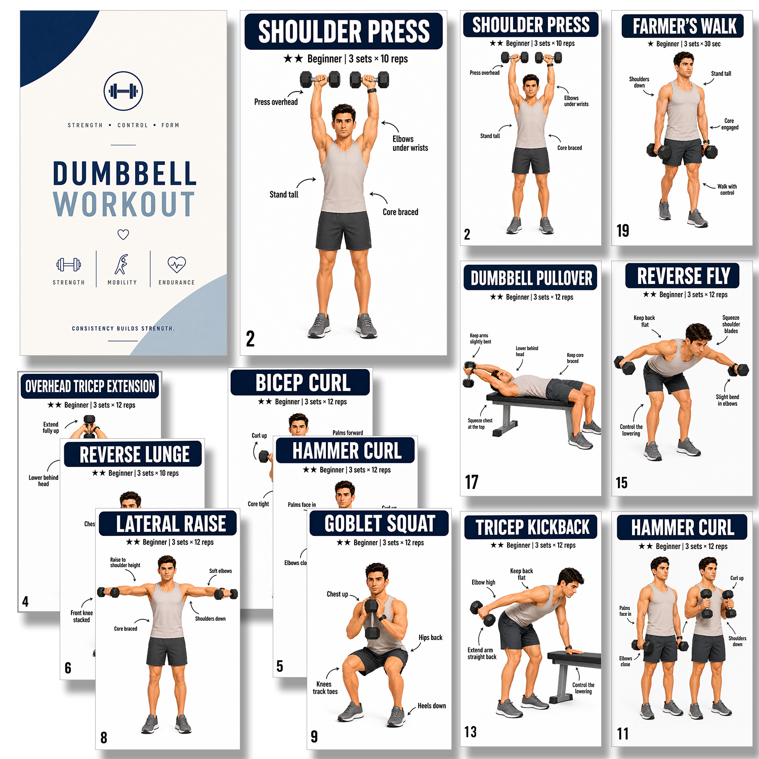 TEMU Ensemble de 21 pour entraînement aux haltères, cartes de guide d'exercices de fitness pour la rentrée scolaire, activité STEM et d'apprentissage
