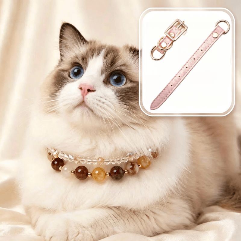 Pet Collar DIY Accessories for Customization