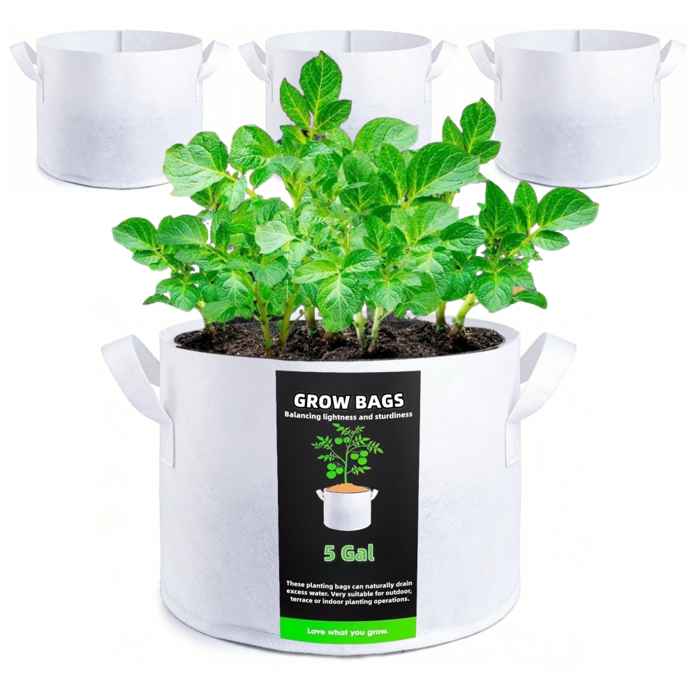 5 gallon plant pot sold on Temu United States