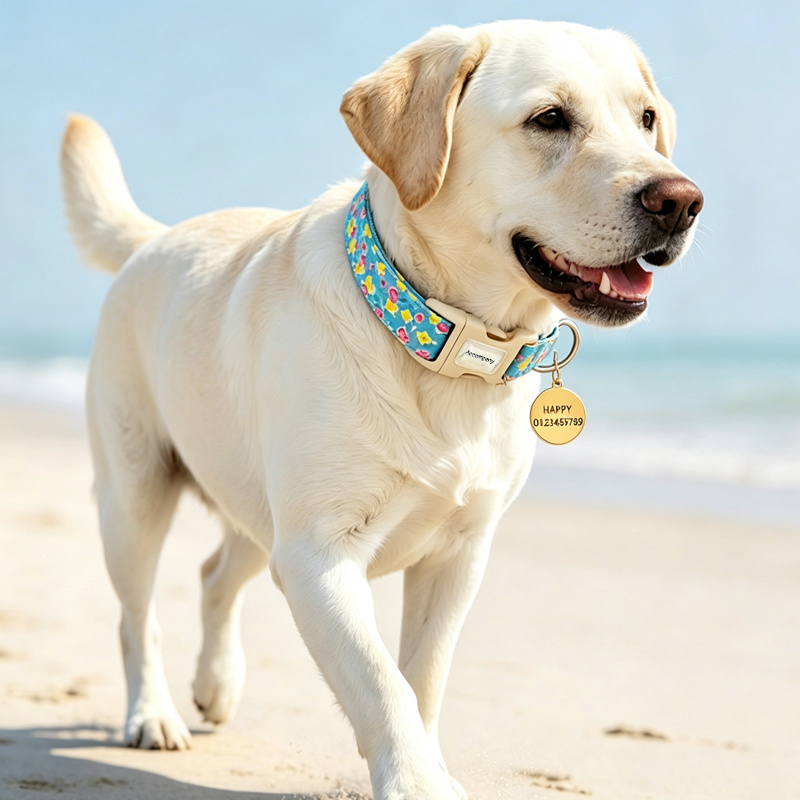 Blue Small Floral Pattern Customizable Dog Collar