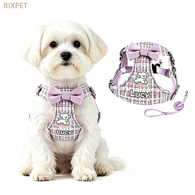 Name Bow-Decorated Harness & Leash for Small Dogs & Cats