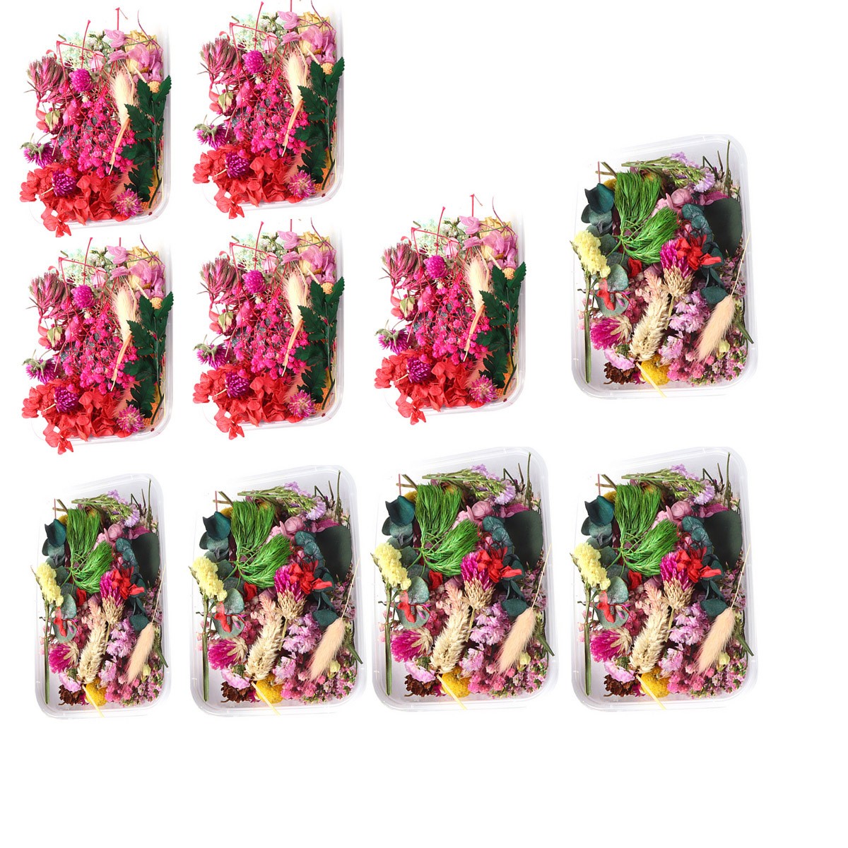 Image of Toyvian 10 Boxes Random Colours Flower Set - Dried Flower Art, | Authentic Botanical Leaves, Beautiful Epoxy Resin Jewelry, Handmade , Decorative Ornaments, Fragrant Floral Decorations, Random Styles