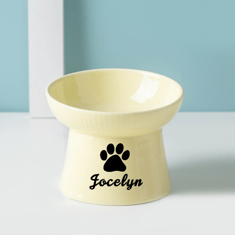 Customized Ceramic Cat Bowls with High Stands