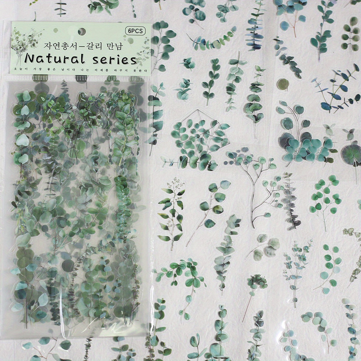 6pcs/ Pack Transparent Decor Stickers For Scrapbooking Materials Diy Junk Journal Collage Leaves Plants Hand Account Stickers