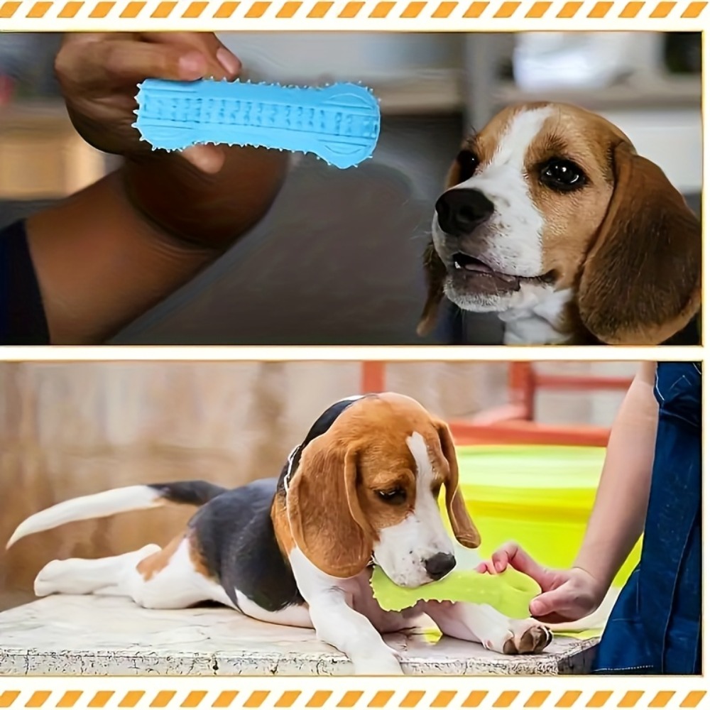 3pcs Durable Rubber Puppy Chew Toys with Multiple Textures