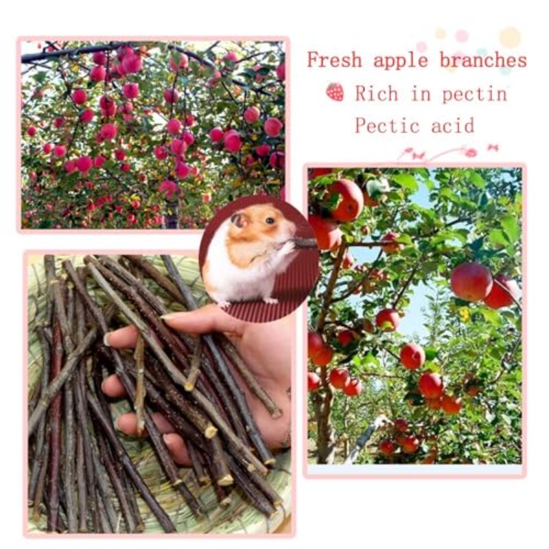 10pcs Rabbit Toys Guinea Pig Toys And Additions for Cage Food Hay Apple Sticks Treats And Chews Rattan Ball Swing Wheel Ramp Hideout Wood Bed Supplies Play Set