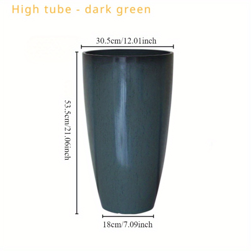 bamboo plant in pot Lucky Bamboo Plant With Self Watering Pot