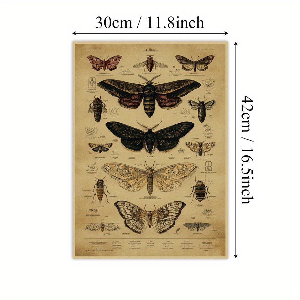 TEMU 1pc Vintage & Moth Wall Art Poster - Frameless Paper Insect Illustration With Scientific Names, Labeled Wings Patterns, Nature-themed Decor For
