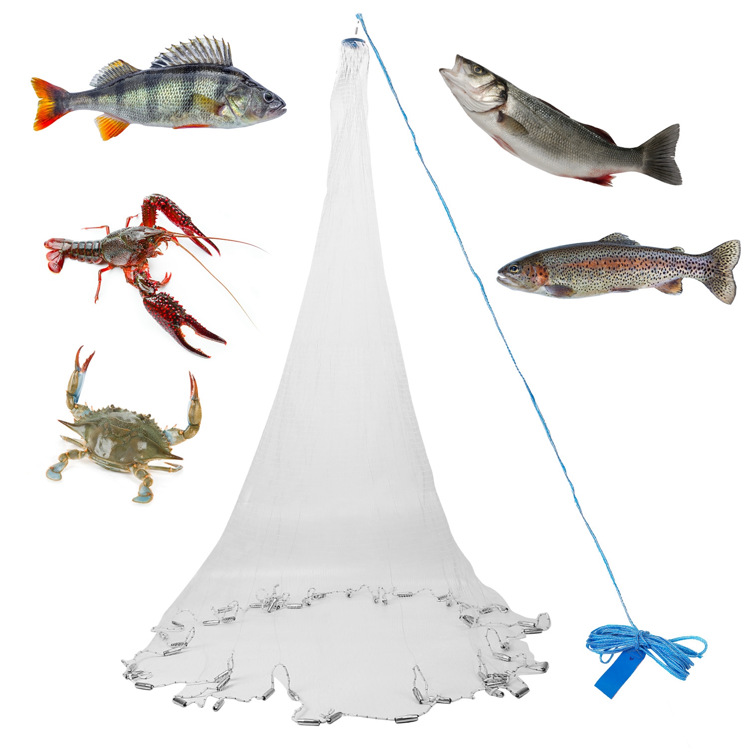 ebay cast net fishing 6ft Nets for with Storage Bucket, Casting Nets for Bait Fish, Freshwater and Saltwater Fishing Nets, 1.5LB/Ft Heavy Duty Sinkers Throw Cast Net, Bait Traps, 3/8 Inch Mesh Size 2pc 8FT Fishing Cast Net