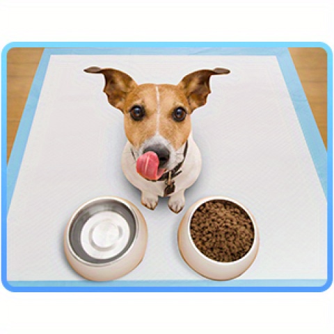 Dog with feeding bowls on a large disposable pet pad