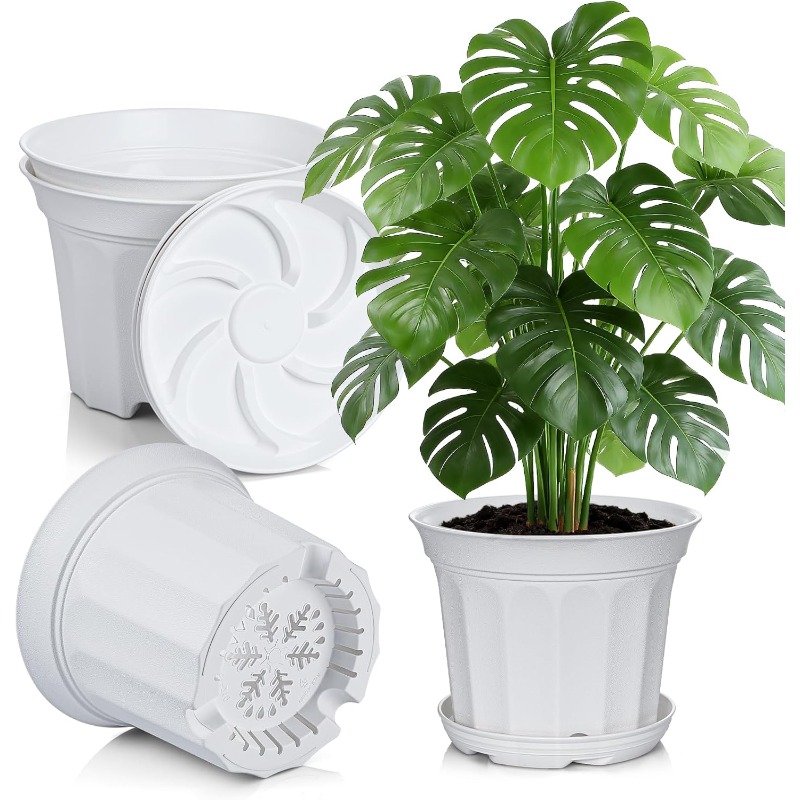 money tree plant fertilizer Premium Liquid MONEY TREE Plant Fertilizer - 3-1-2 Concentrate for Indoor Plants and Flowers by Gardenera | Organic Plant Food for MONEY TREE main image 0