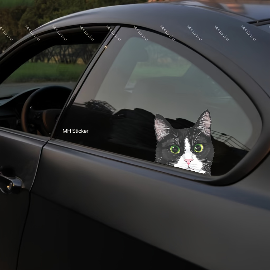 

Cat - , Reusable For , Trucks, & - And