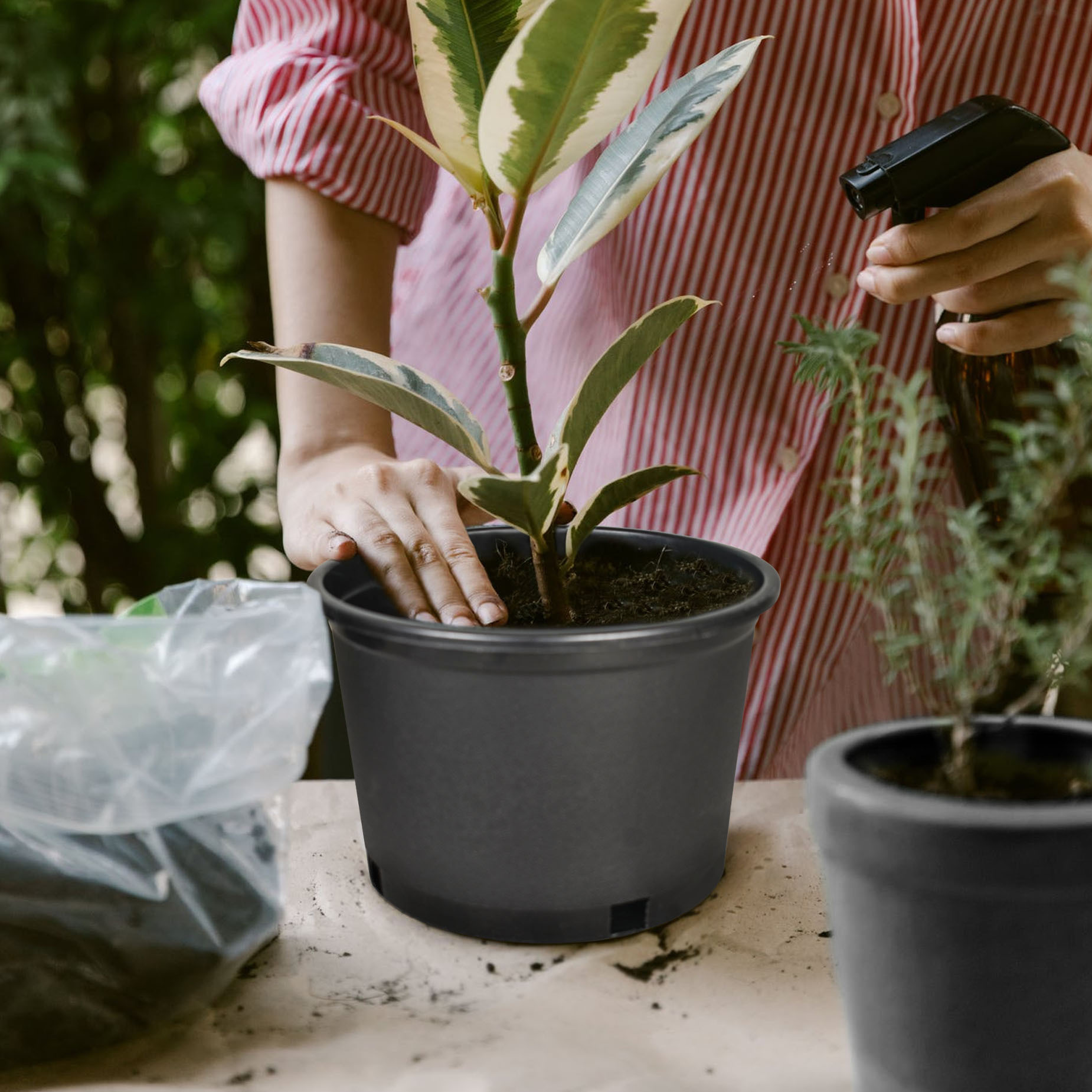 

Garden Plastic Planter Nursery Pots - 10 Pcs 5 Gallon Round Black Nursery Pots For Indoor And Outdoor Plants With Drainage Hole