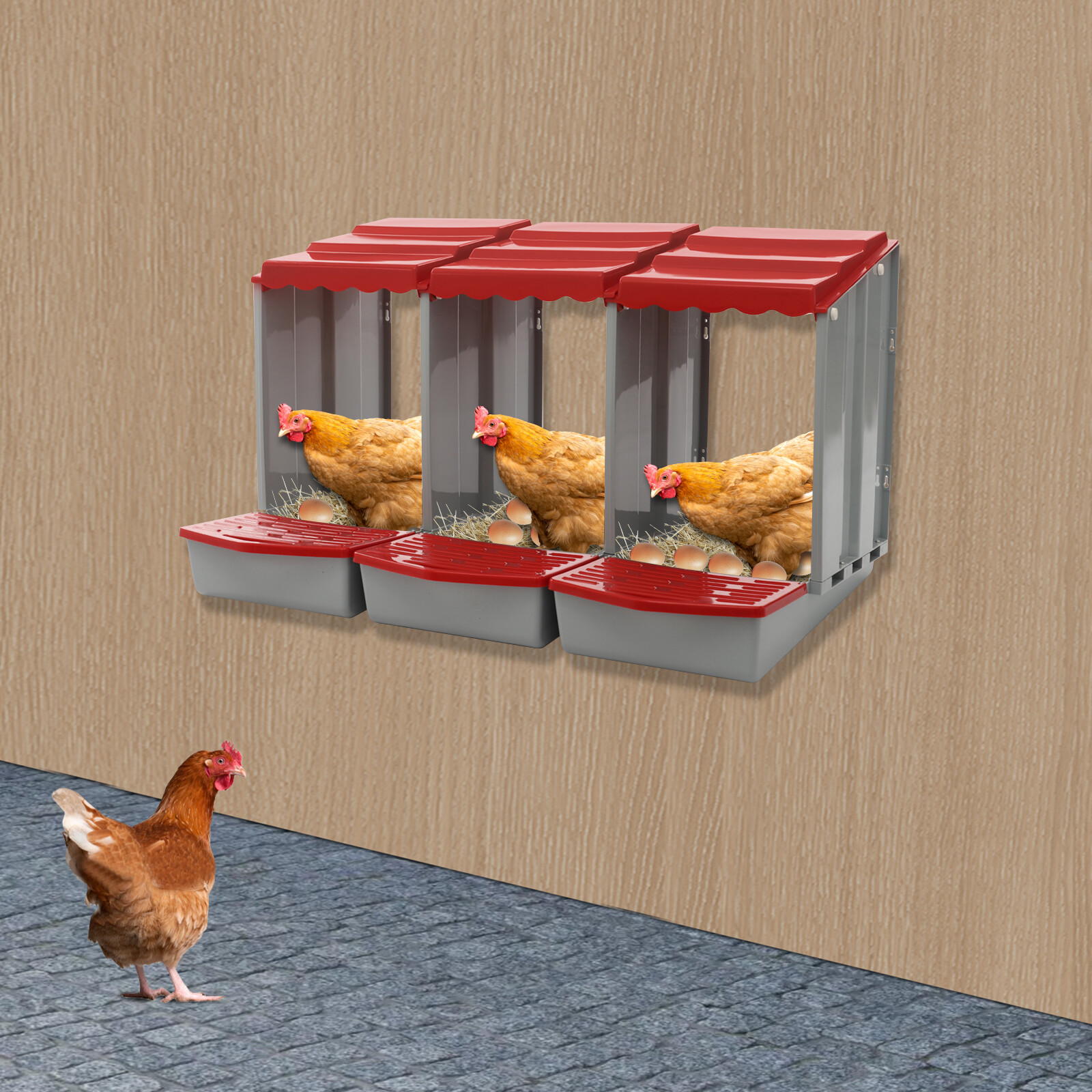 Image of 3-compartment Chicken Nesting Box | Polypropylene Laying Box With Egg Collection, Rolling And Protection Features By Carnationer