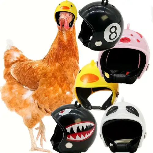 bird motorcycle helmet shenruifa 4 Pcs Chicken Plastic Chick Pecking Helmet Funny Hen Hat (Blue Green White) : Everything Else So please be aware your country might have customs or duty fees when ordering internationally New Custom Predator Motorcycle Helmet