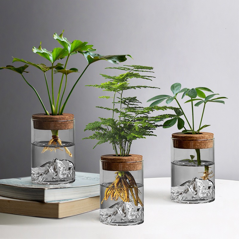 2pcs set   glass vase hydroponic green plant micro landscape creative desktop decoration for     potted plant for   Product details 1