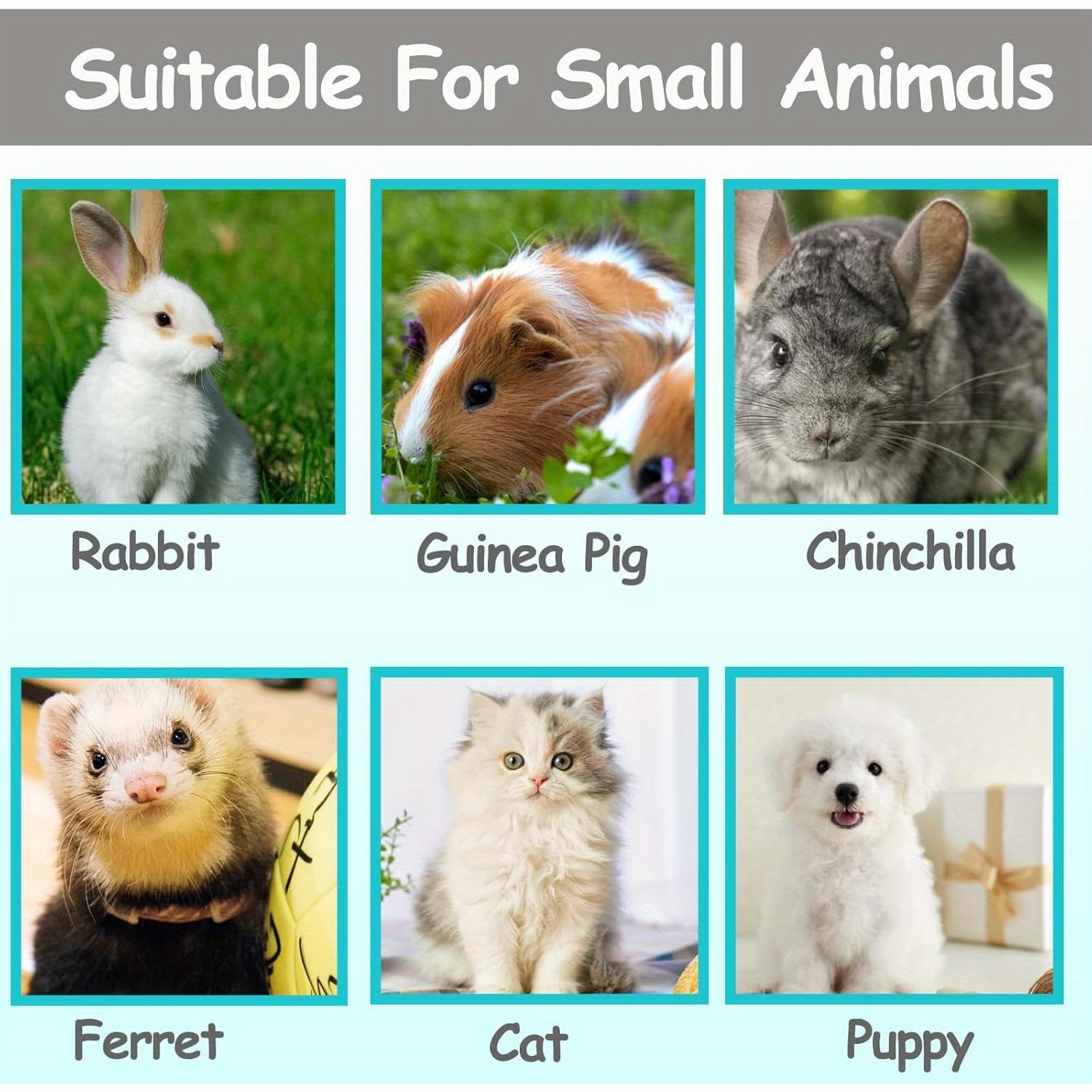 F55769a69bdb49b2a052efe3b6384655 Goods