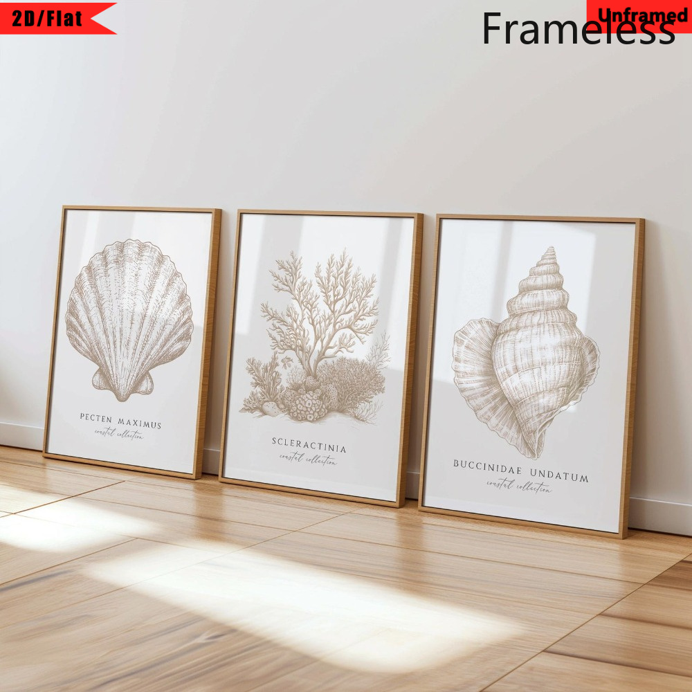TEMU 2d Flat, 3pcs 2d Flat 2d/flatcoatal Printneutral Beach Decoreahell Coral Ketchvintage Marine Biology Illutrationmodern Nautical Bathroom Living