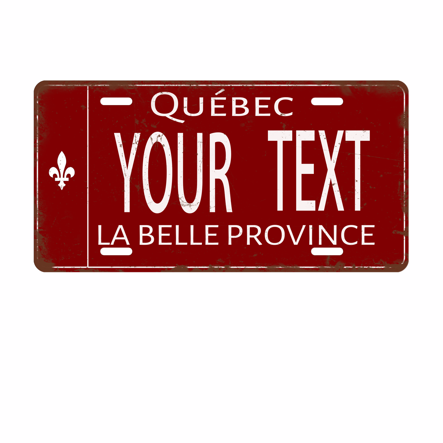 Customizable Stainless Steel Quebec License Plate - 6x12