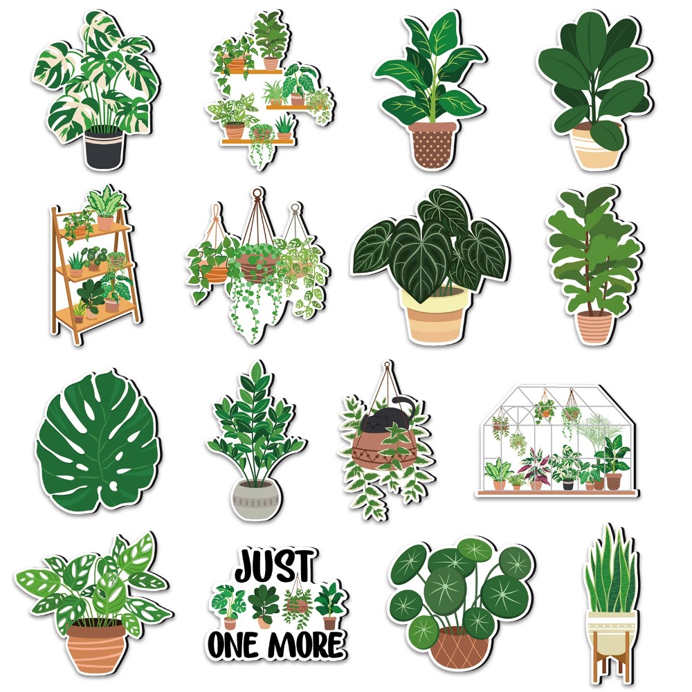 TEMU Magnétiques Monstera pour réfrigérateur - Autocollants mignons pour réfrigérateur - Panneau " pousser une plante" - Cadeau de pendaison de