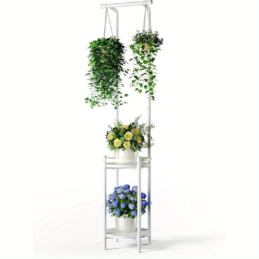 spider plant for sale Spider Plant Hanging Basket: Pet Friendly Live Plant - (6” Pot) – Easy –  Altman Plants