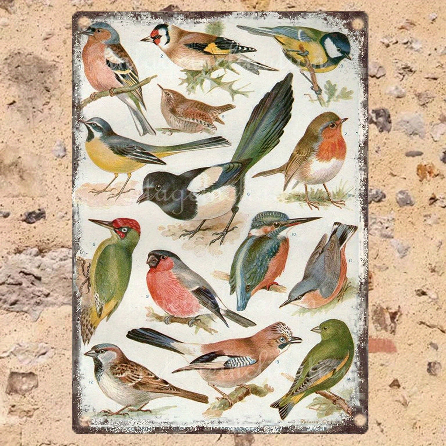 TEMU 1 Vintage Bird Art Metal Sign, 8x12 Inches, Rectangular Iron Wall Decor For Home, Kitchen, Bar, Cafe, For Man Cave, Garden, And Farmhouse -