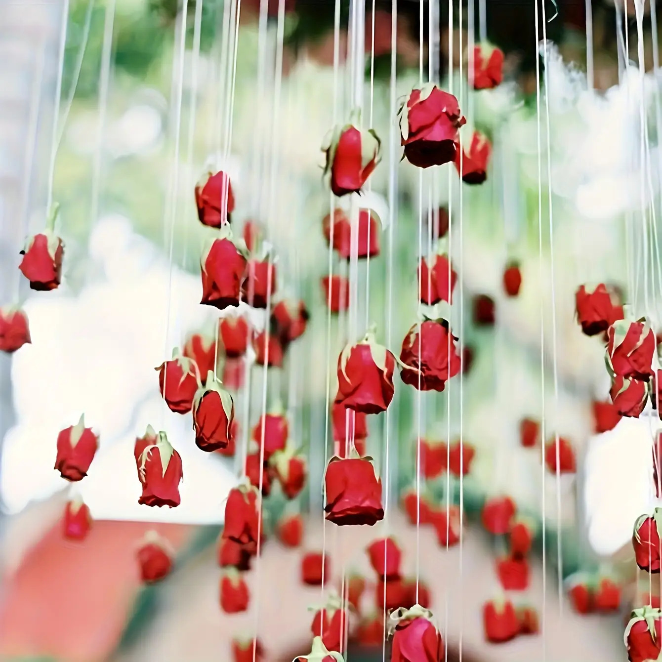 E-shop 41-teiliges Roter Rosen-Wasserfall-Set – Inklusive 40 hochwertiger künstlicher Rosen 1 Rolle transparenter Schnur. Ideal für Valentinstag,