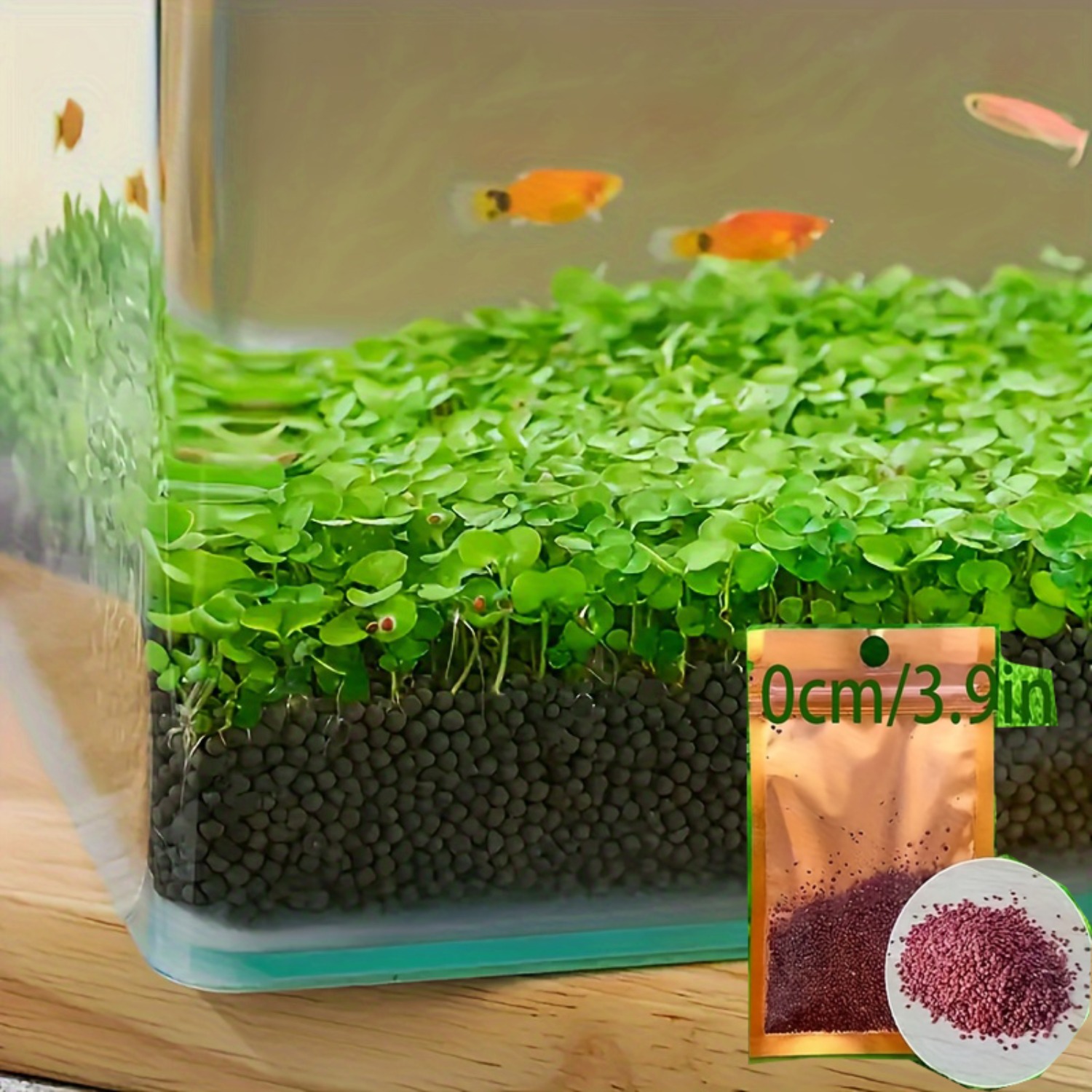 aquarium seeds sold on Temu United States
