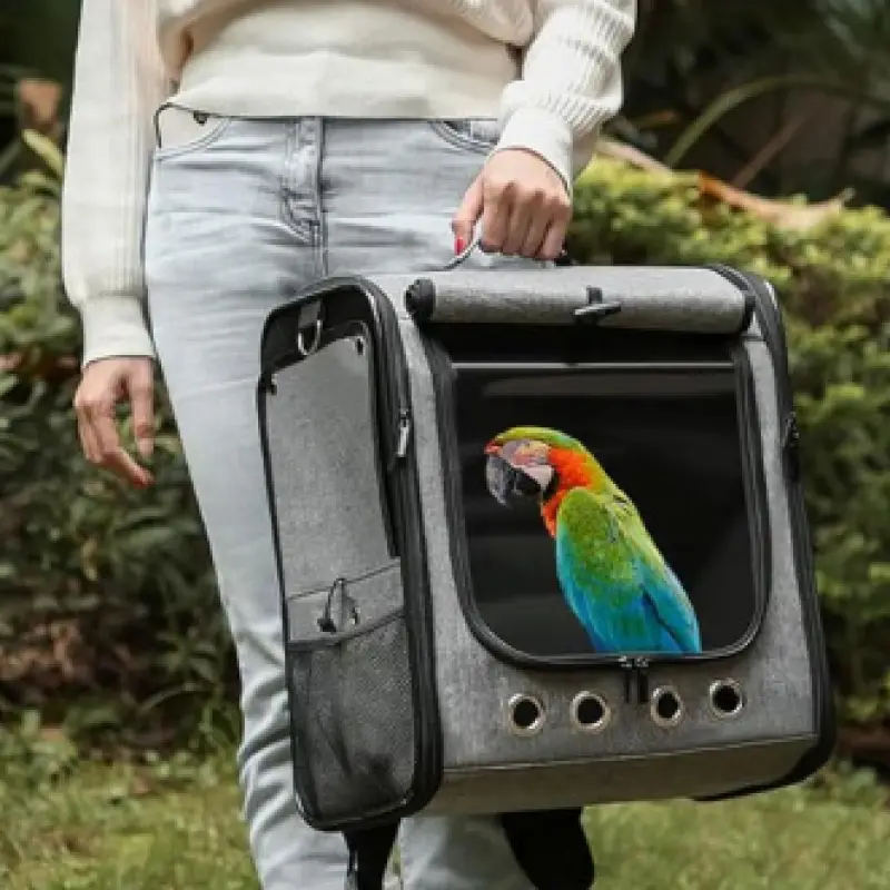 backpack for bird travel Carrier Budgies & Small Parrots The end result is a backpack that allows your bird to travel in comfortable fashion Bird backpack by TARIGS -