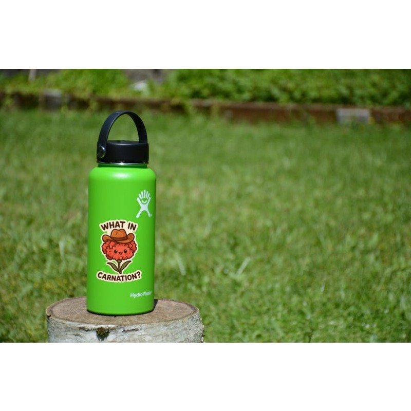 TEMU Funny Western Pun Sticker - What In Carnation Cowboy Decal, Cute Flower & Cowboy Hat Vinyl, Waterproof Matte For Laptops,, Hats, Journals - Durable Western-themed Decoration