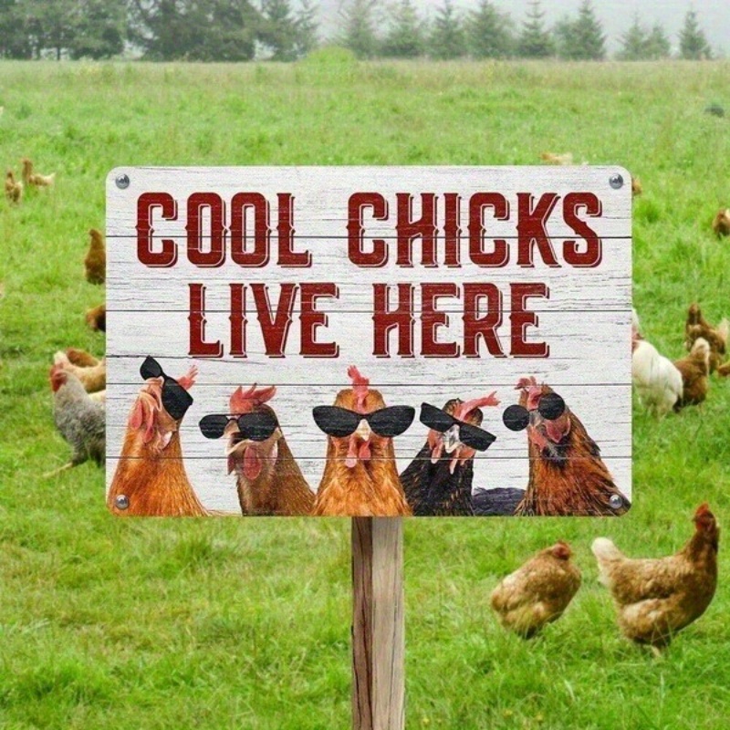 TEMU 2d Flat, Live Here Funny Chicken Coop Metal Tin Sign - 2d Flat Wall Art With Fashion Glasses Chickens, Durable Rustic Farmhouse Decor For