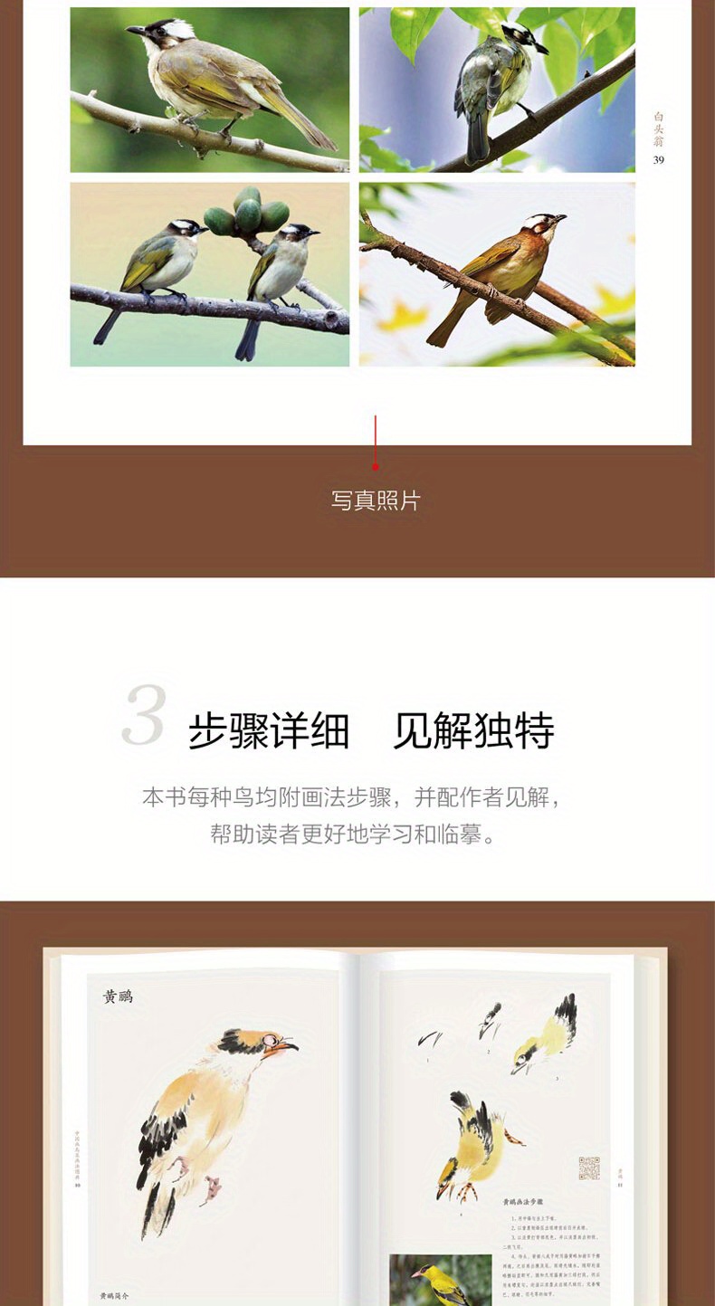 中国画鳥画法マニュアル、 中国語版 | temu Temu Japan