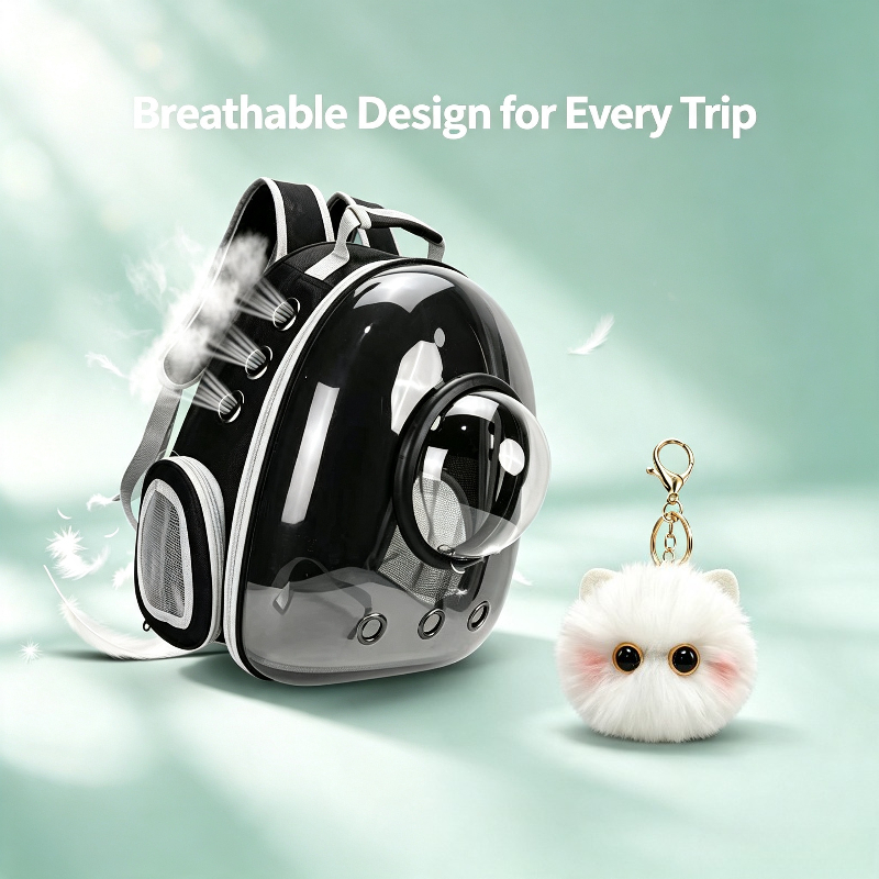 2pcs Set: Transparent Space Capsule Pet Backpack with Cute Charm