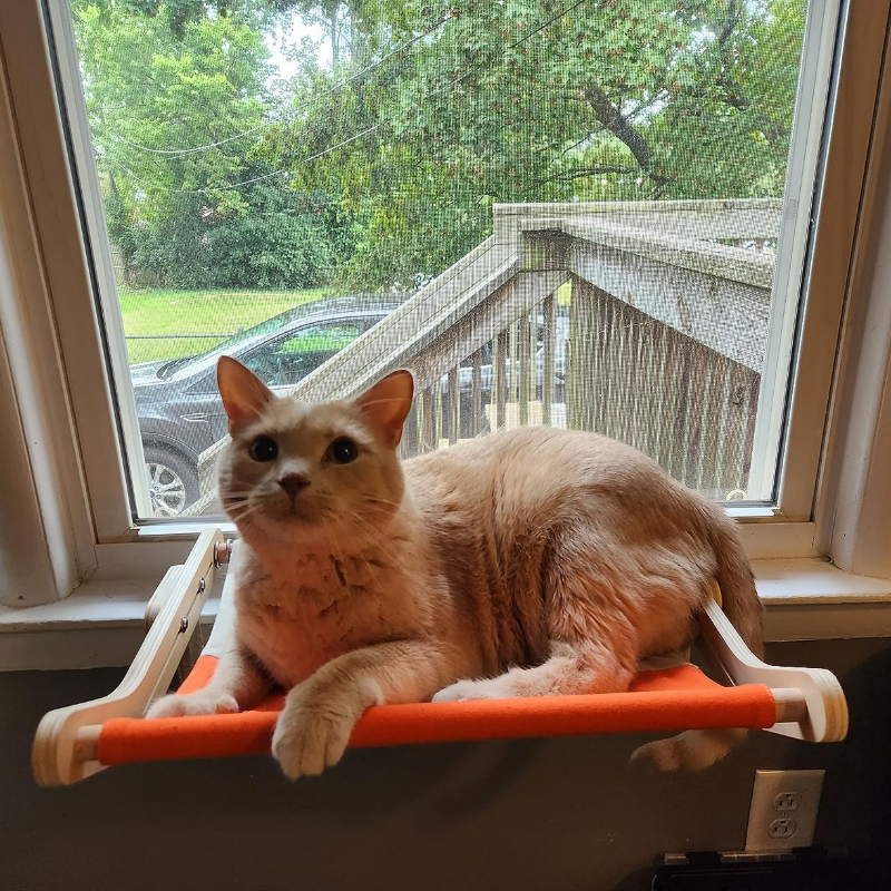 zeltstangen material Verstellbarer Tarp-Stützmod – Leichte Aluminiumstangen für einen Tarp-Unterstand Markilux 970 Markise | HD Digital FPV Goggle Size:Large - 178-187cm/5'8