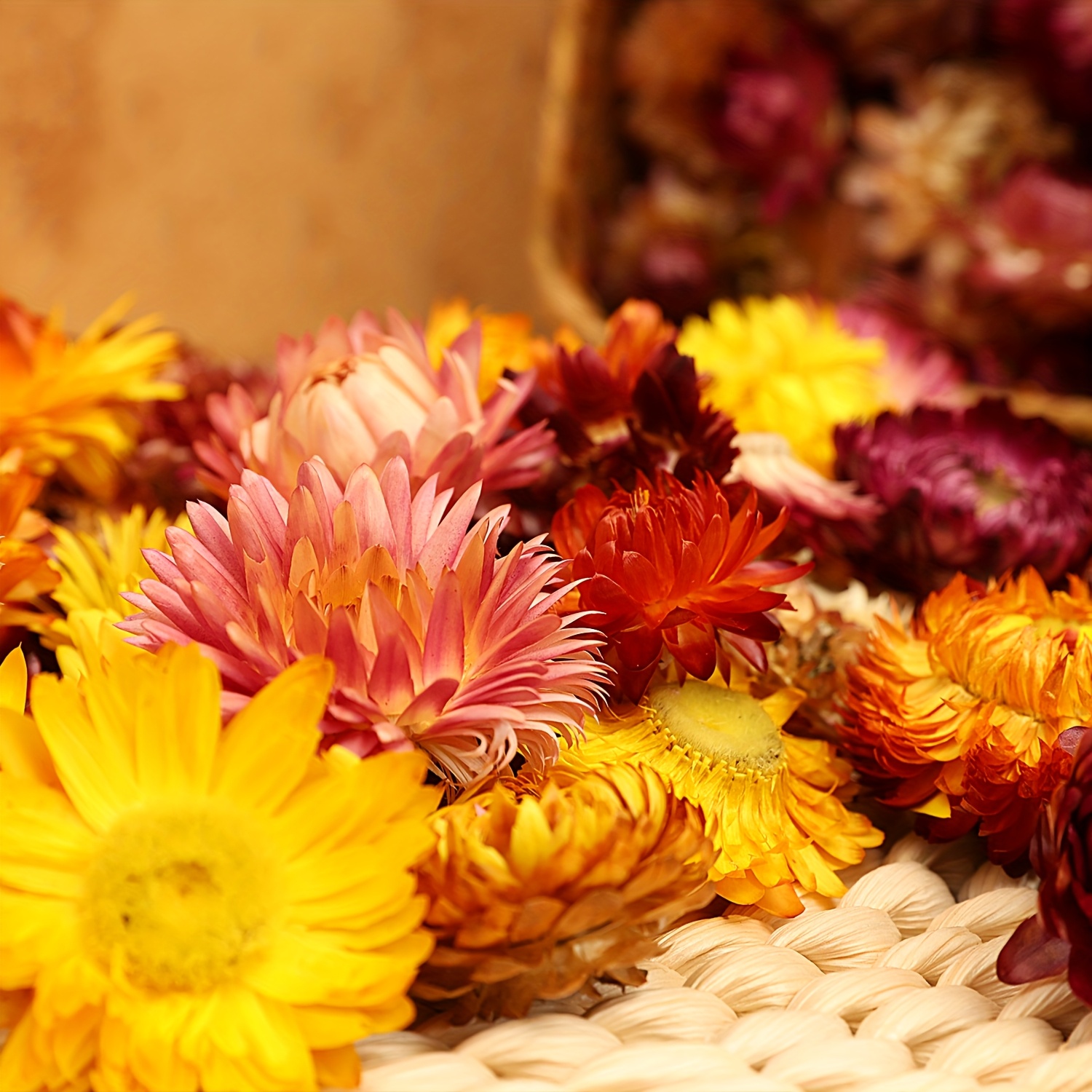 TEMU 78pcs Assorted Dried Flower Heads Flowers For Diy Crafts Home Wedding Party Decor Gift Wrapping & Holiday Ornaments Christmas Halloween