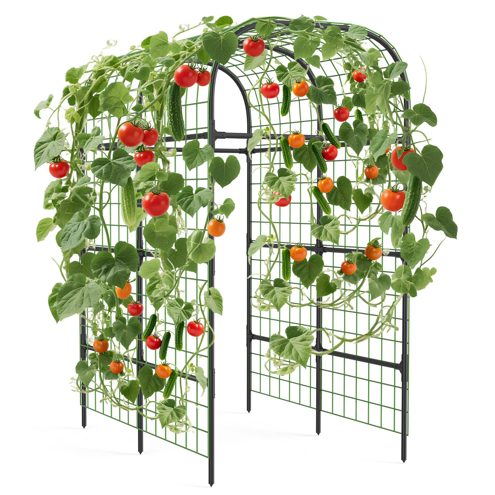 TEMU 2026 7.3ft Metal Garden Arch Trellis With Durable Plastic Connectors, Plant Support For Climbing Vegetables And Flowers, Black