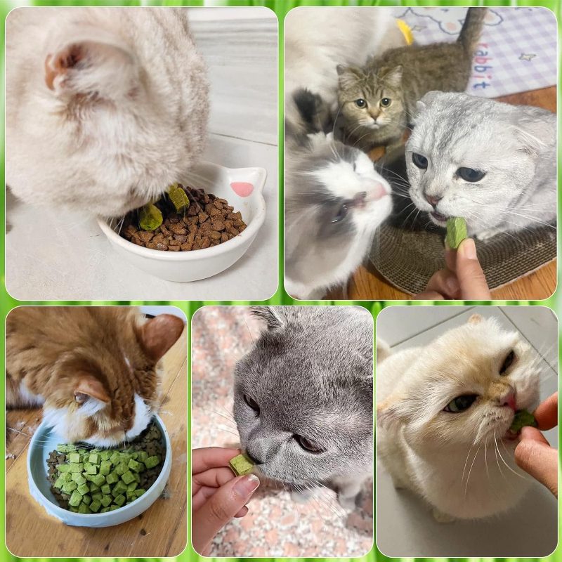 260G Grass Treats, Chew Toys Natural Dried Snacks Grinding Rod Indoor Kitten, Edible Molar Toys Teeth Cleaning Hairball (Grass Granules) - Image 5