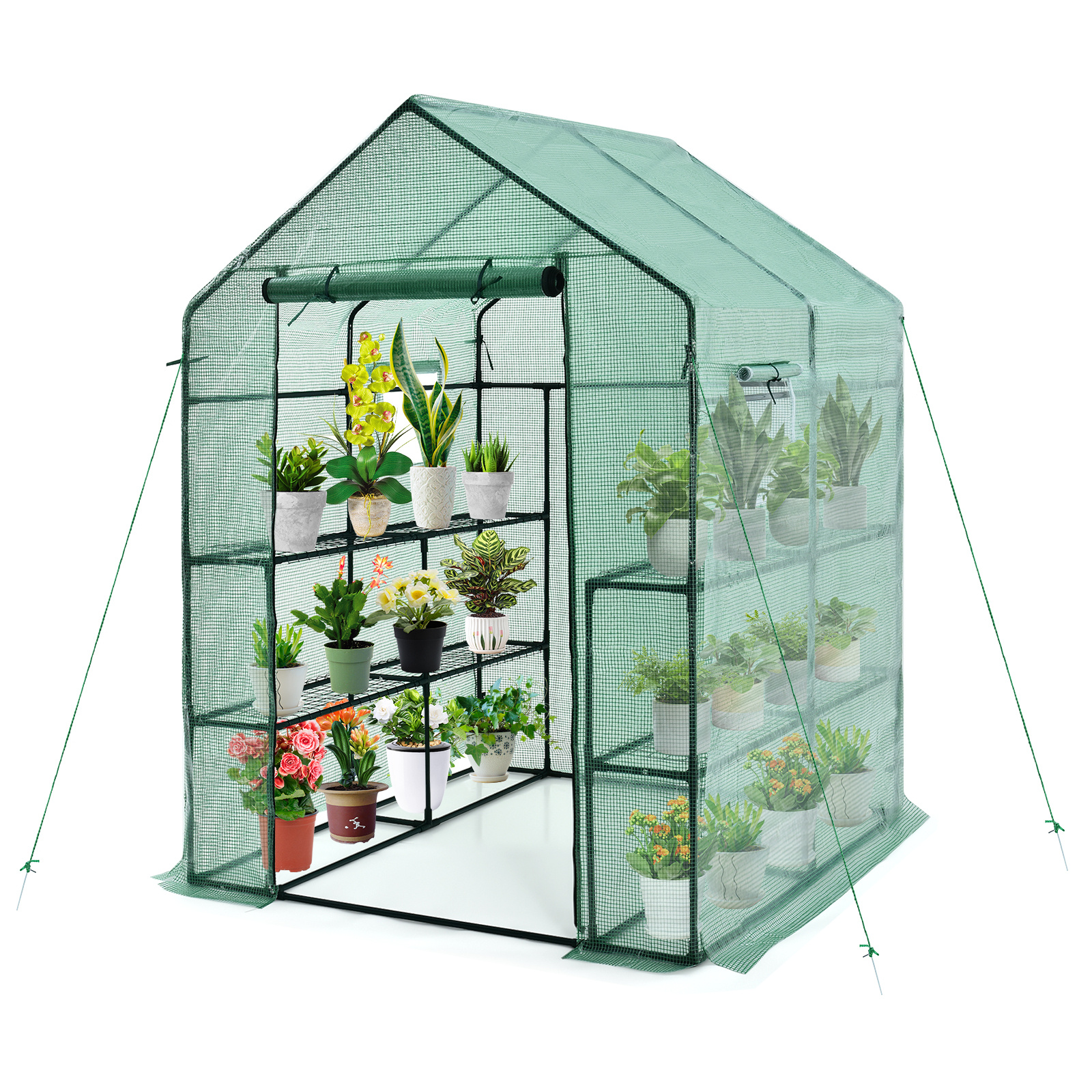 

Petsite Walk-in Greenhouse, 56 X 56 X 77inch With 4-tier Metal , Portable Greenhouse With Roll-up Door & Ventilated Windows For Garden Backyard