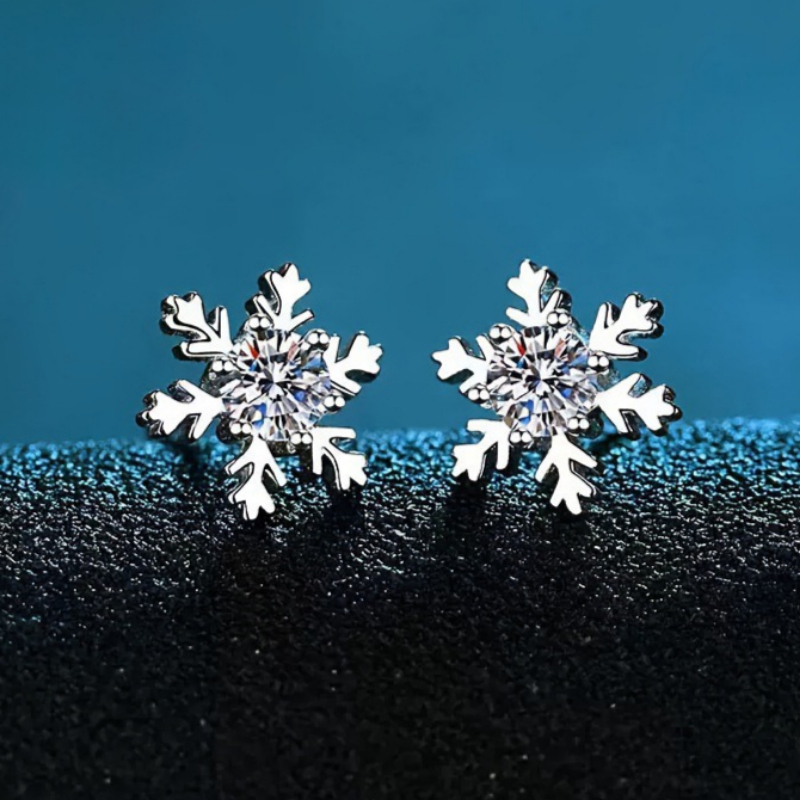 TEMU Eleganti orecchini a lobo con zirconi cubici a forma di di per donna, tonalit� argentata, rotondi, con pietre CZ, orecchini invernali, da