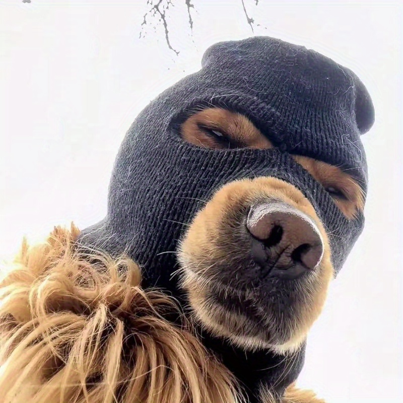 Balaclava engraçado de cachorro