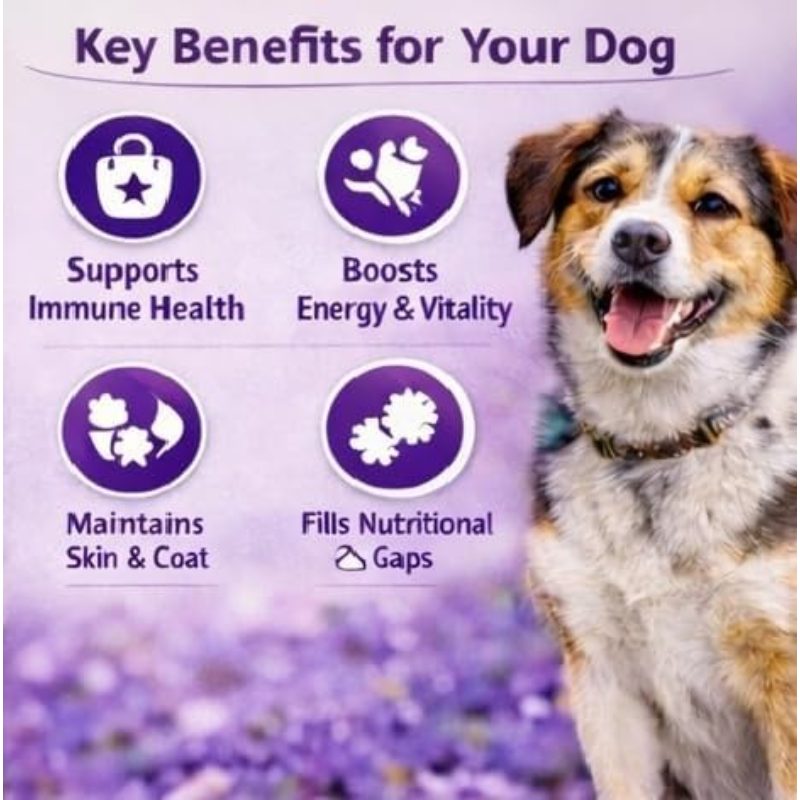BASILSY MULTIVITAMIN Chicken Chews 120 Each