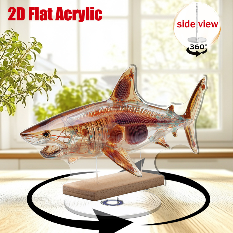 TEMU 2d Flat, Rotatable Shark Wall Decor - 2d Shark-themed Acrylic Ornament Suitable For / Use, Display, Room & Ocean-themed Decoration, Plastic For