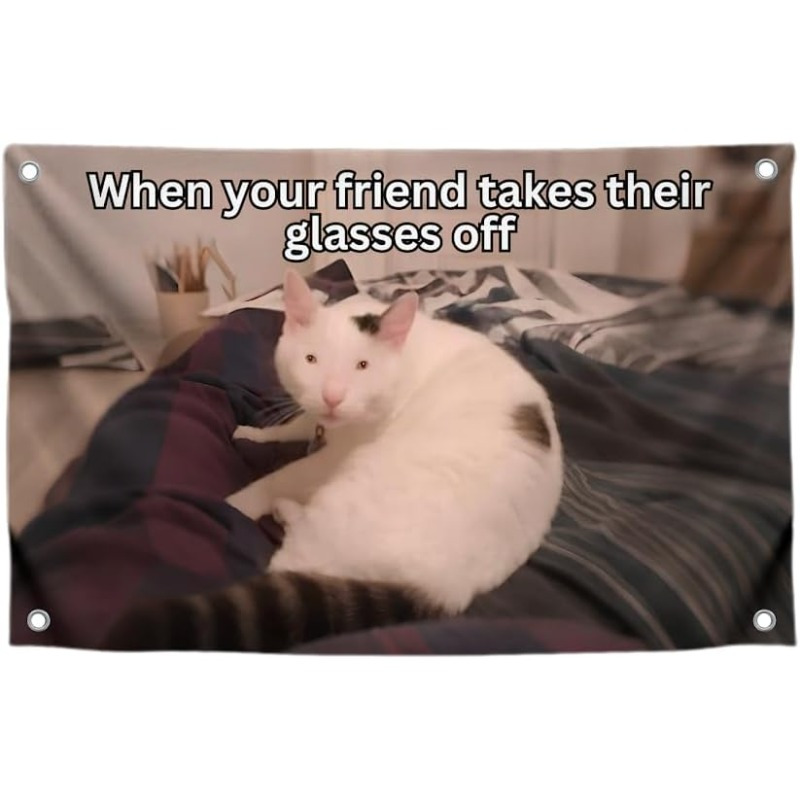 Glasses Off Meme Meme Flag Sold On Temu Canada