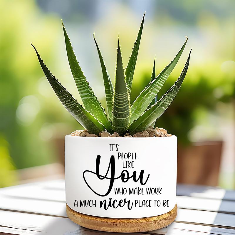1pc ceramic succulent planter with bamboo base its   inspirational quote employee appreciation gift office desk decor indoor plant pot