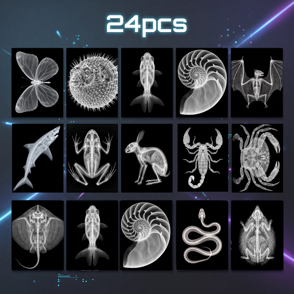 TEMU 24pcs -ray Skeleton Cards Suitable For, Study, Biology Classes, Veterinary Reference - Anatomical Postcards With Wildlife Bone Charts, Decor,