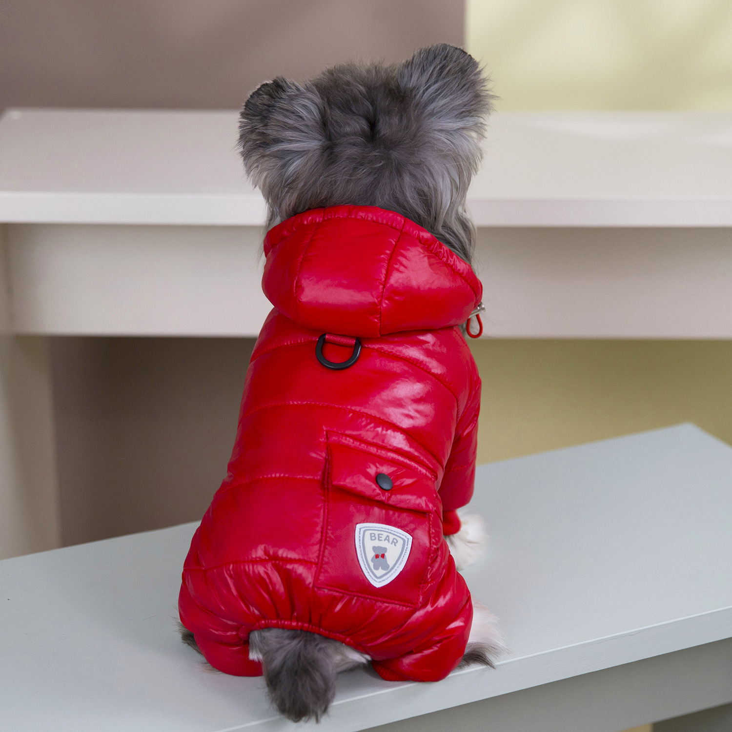 TEMU Весняно-осінній одяг для собак Y Pet Dog Clothes, потовщений, чотириношний, модний, теплий, вітрозахисний, для лиж, 26