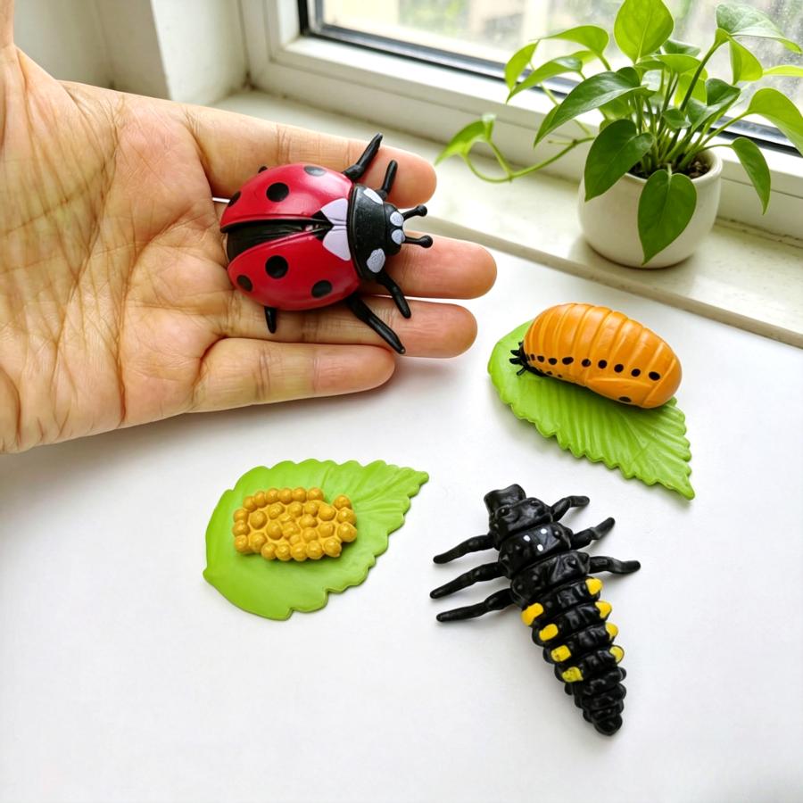 Image of Red Ladybug Life Cycle Animal Model Toy, Children's Toy, Christmas Halloween Birthday Gift
