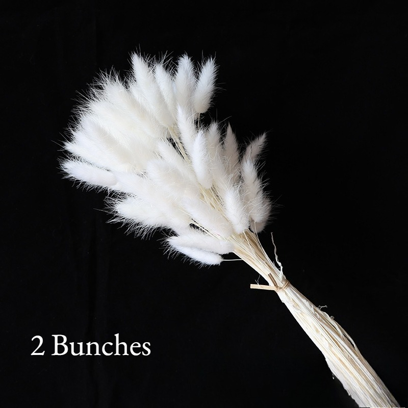 2 Bunches 120 Heads Natural Pampas Grass Decoration Reusable Diy Dried Flowers For Living Room Wedding Table Flowers Arrangements Home Decor No Vase