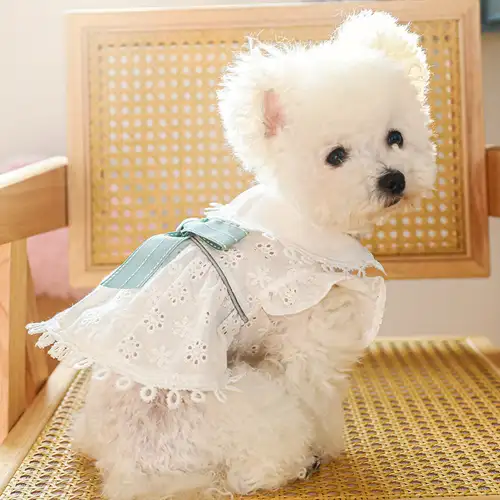 1pc summer pet dress with pattern & lace trim - lightweight skirt for small to medium dogs and cats, spring, summer, and fall, dog summer dress - pet supplies - Temu 1pc summer pet dress with pattern & lace trim - lightweight skirt for small to medium dogs and cats, spring, summer, and fall, dog summer dress - pet supplies - Temu